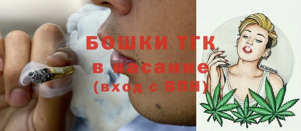 apvp Каменка