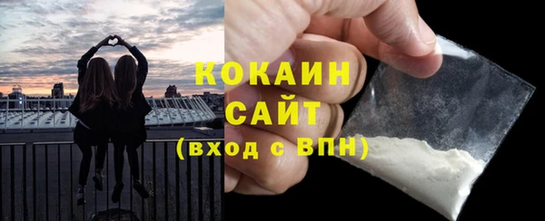 apvp Каменка