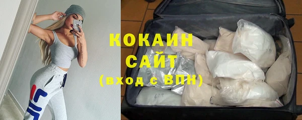 apvp Каменка