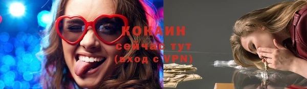 apvp Каменка