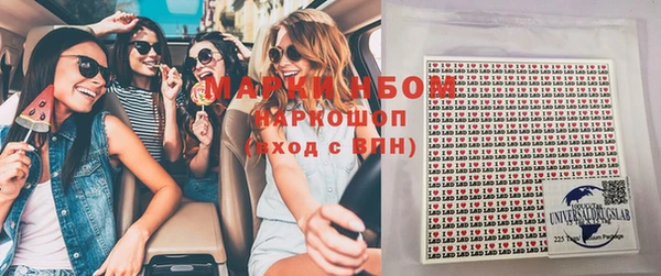 apvp Каменка