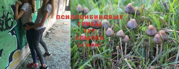 герыч Каменск-Шахтинский