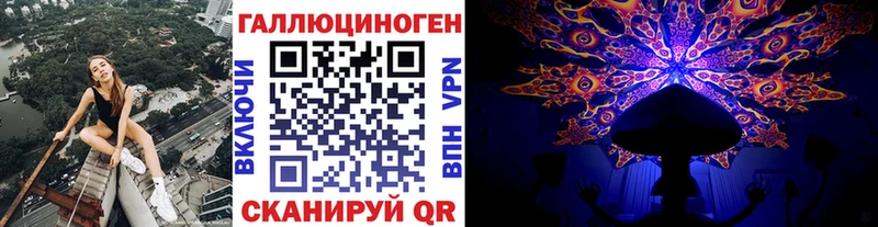 Псилоцибиновые грибы GOLDEN TEACHER  Купить где  Гай 
