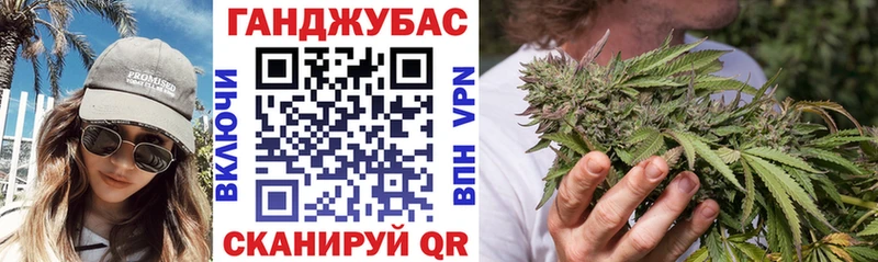 Бошки Шишки план  Купить  Гай 